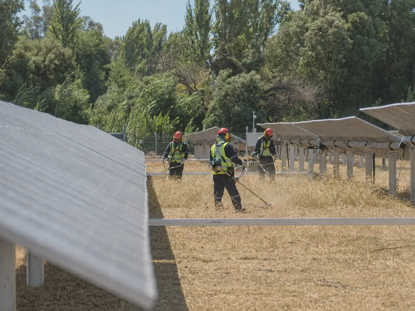 Técnico revisando módulo fotovoltaico